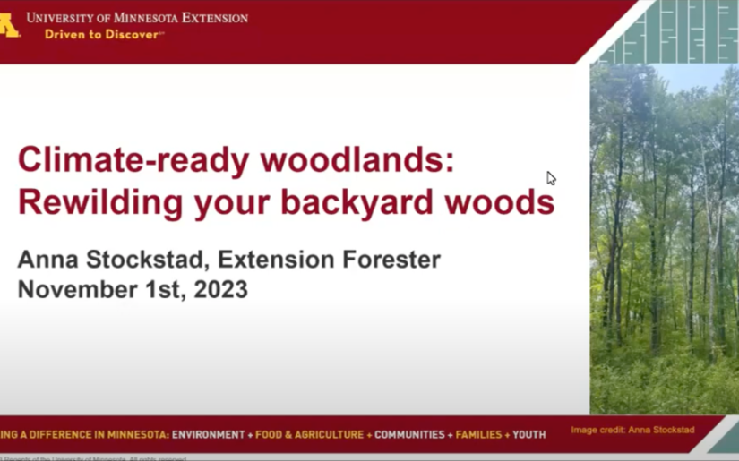 Climate Ready Woodlands: Rewilding Your Backyard Woods Webinar